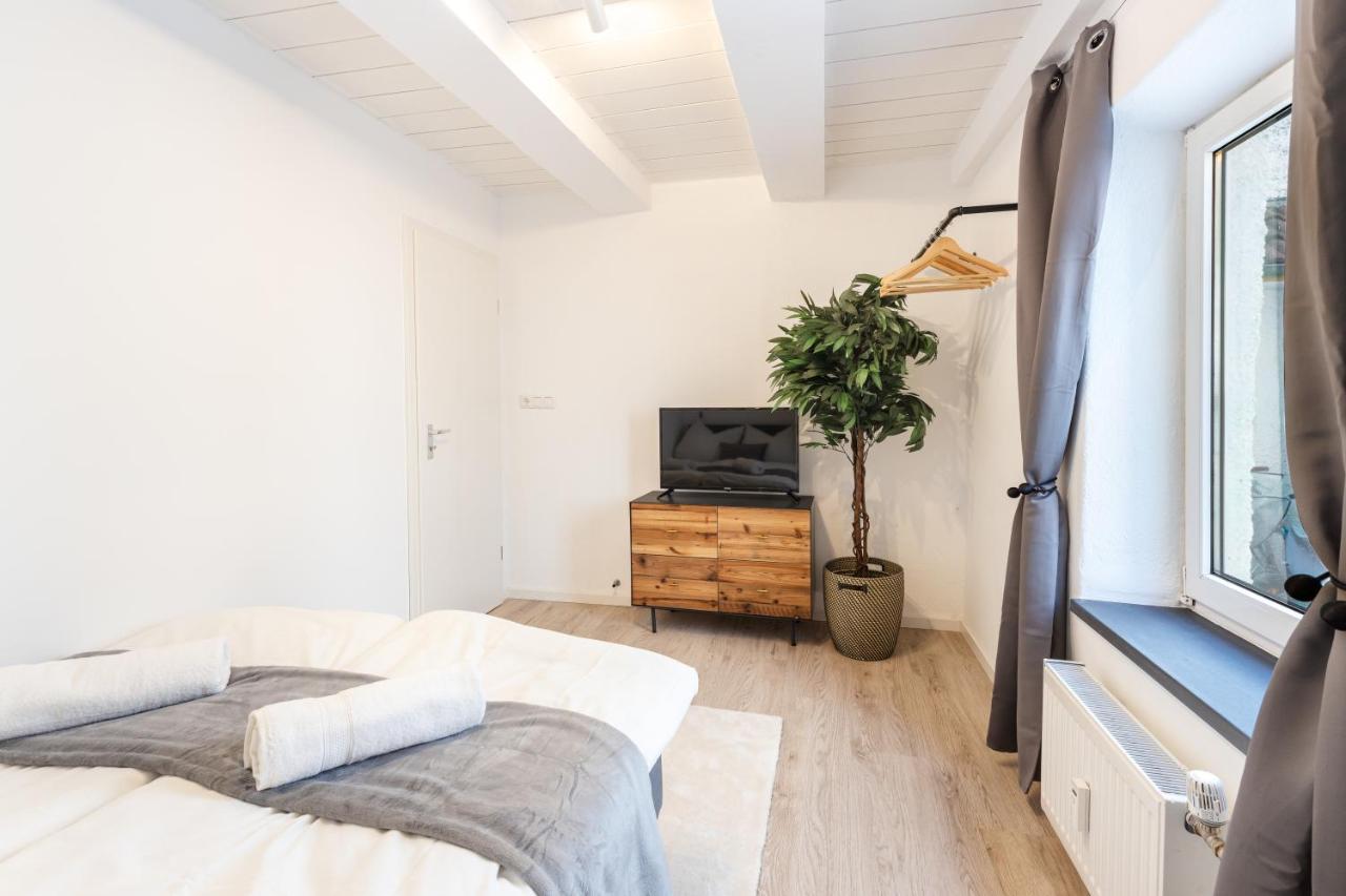 Terrace Apartment With 5 Rooms, Whirlpool And Bbq Augsburg Exterior photo